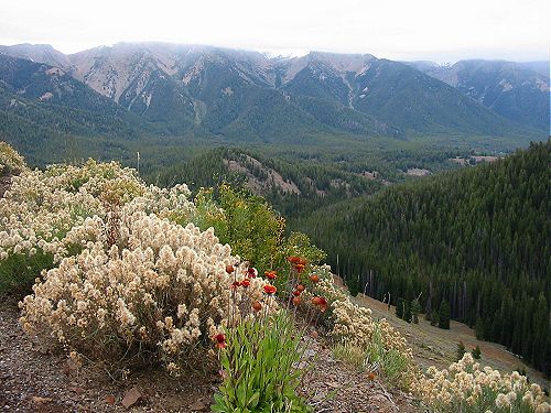 Sawtooth National Recreation Area